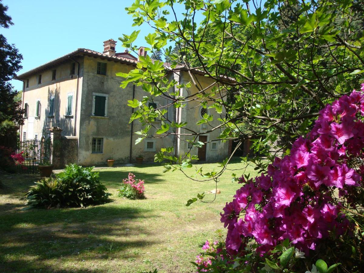 Bed & Breakfast Villa Masini-Luccetti Pietrasanta Exterior foto